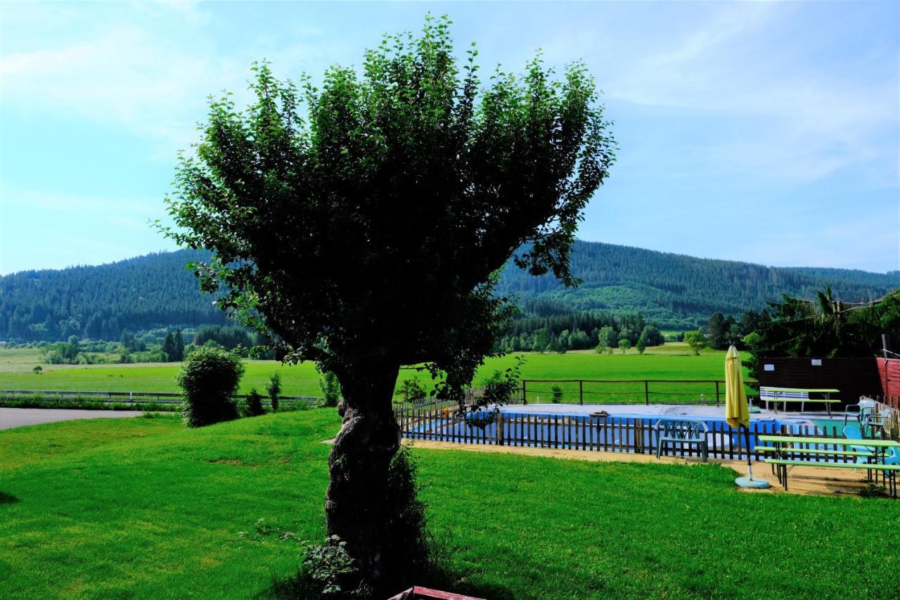 B Und B Titisee Hotel Sonnenmatte Nahe Badeparadies Esterno foto